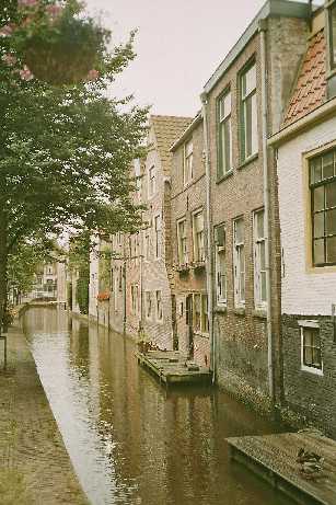 akooltuin.jpg
