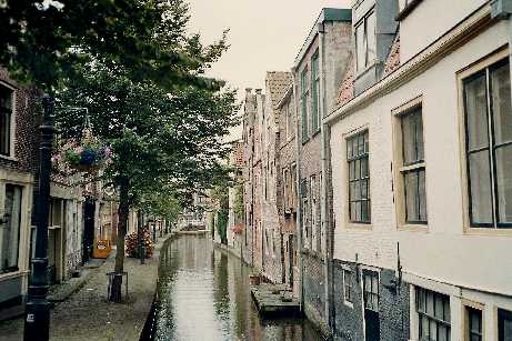 akooltuin2.jpg